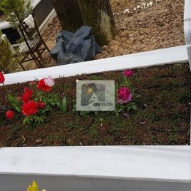 No: 5258 Yeşilik Ve Mevsimlik Çiçek Tasarım