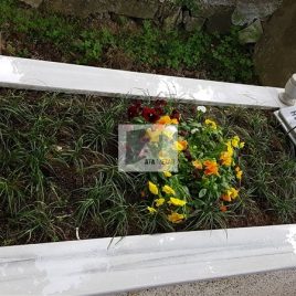 No: 5260 Yeşilik Ve Mevsimlik Çiçek Tasarım