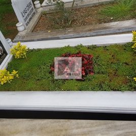 No: 5262 Yeşilik Ve Mevsimlik Çiçek Tasarım