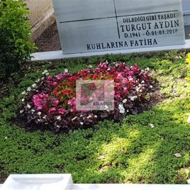 No: 5264 Yeşilik Ve Mevsimlik Çiçek Tasarım