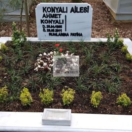 No: 5265 Yeşilik Ve Mevsimlik Çiçek Tasarım