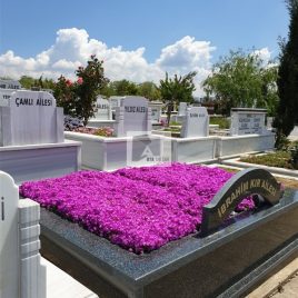 No: 5266 Yeşilik Ve Mevsimlik Çiçek Tasarım