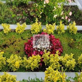 No: 5267 Yeşilik Ve Mevsimlik Çiçek Tasarım