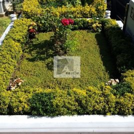 No: 5268 Yeşilik Ve Mevsimlik Çiçek Tasarım