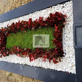 No: 5269 Yeşilik Ve Mevsimlik Çiçek Tasarım