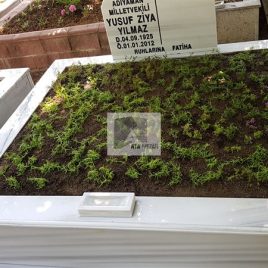 No: 5270 Yeşilik Ve Mevsimlik Çiçek Tasarım