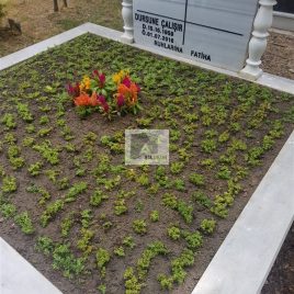 No: 5276 Yeşilik Ve Mevsimlik Çiçek Tasarım