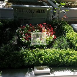 No: 5272 Yeşilik Ve Mevsimlik Çiçek Tasarım