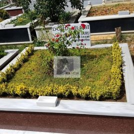 No: 5274 Yeşilik Ve Mevsimlik Çiçek Tasarım