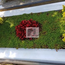 No: 5277 Yeşilik Ve Mevsimlik Çiçek Tasarım