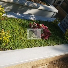 No: 5279 Yeşilik Ve Mevsimlik Çiçek Tasarım