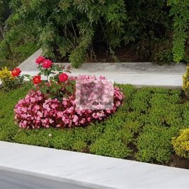 No: 5281 Yeşilik Ve Mevsimlik Çiçek Tasarım