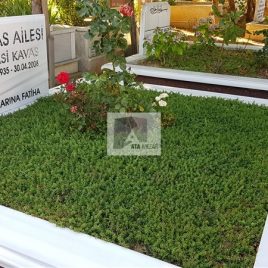 No: 5282 Yeşilik Ve Mevsimlik Çiçek Tasarım