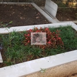 No: 5285 Yeşilik Ve Mevsimlik Çiçek Tasarım