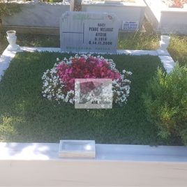 No: 5287 Yeşilik Ve Mevsimlik Çiçek Tasarım