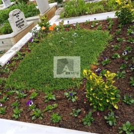 No: 5288 Yeşilik Ve Mevsimlik Çiçek Tasarım