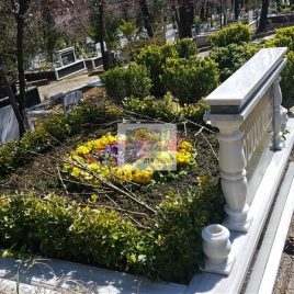 No: 5290 Yeşilik Ve Mevsimlik Çiçek Tasarım