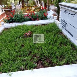 No: 5196 Yeşilik Ve Mevsimlik Çiçek Tasarım