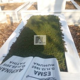 No: 5202 Yeşilik Ve Mevsimlik Çiçek Tasarım