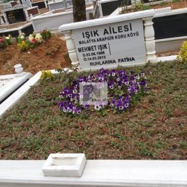 No: 5205 Yeşilik Ve Mevsimlik Çiçek Tasarım