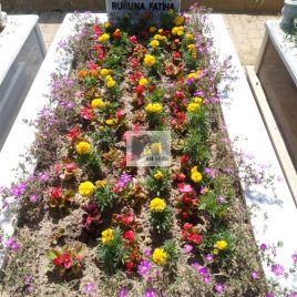 No: 5216 Yeşilik Ve Mevsimlik Çiçek Tasarım