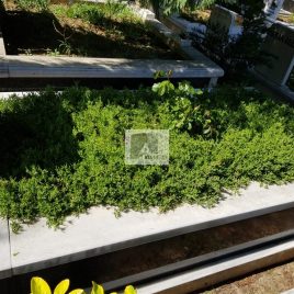 No: 5188 Yeşilik Ve Mevsimlik Çiçek Tasarım