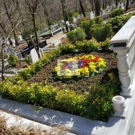No: 5190 Yeşilik Ve Mevsimlik Çiçek Tasarım